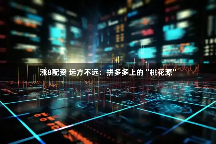 涨8配资 远方不远：拼多多上的“桃花源”
